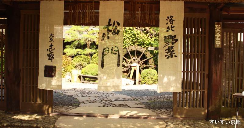 三千院の魅力をギュッと凝縮！一日観光のおすすめプラン | すいすい京都